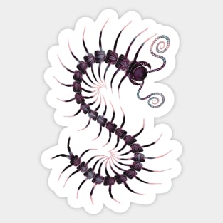 Black and Pink Centipede Sticker